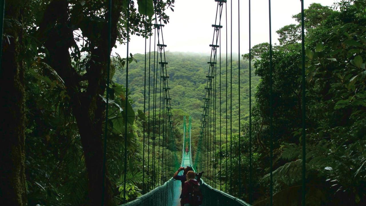 Monte Terras Acomodação com café da manhã Tronadora Exterior foto