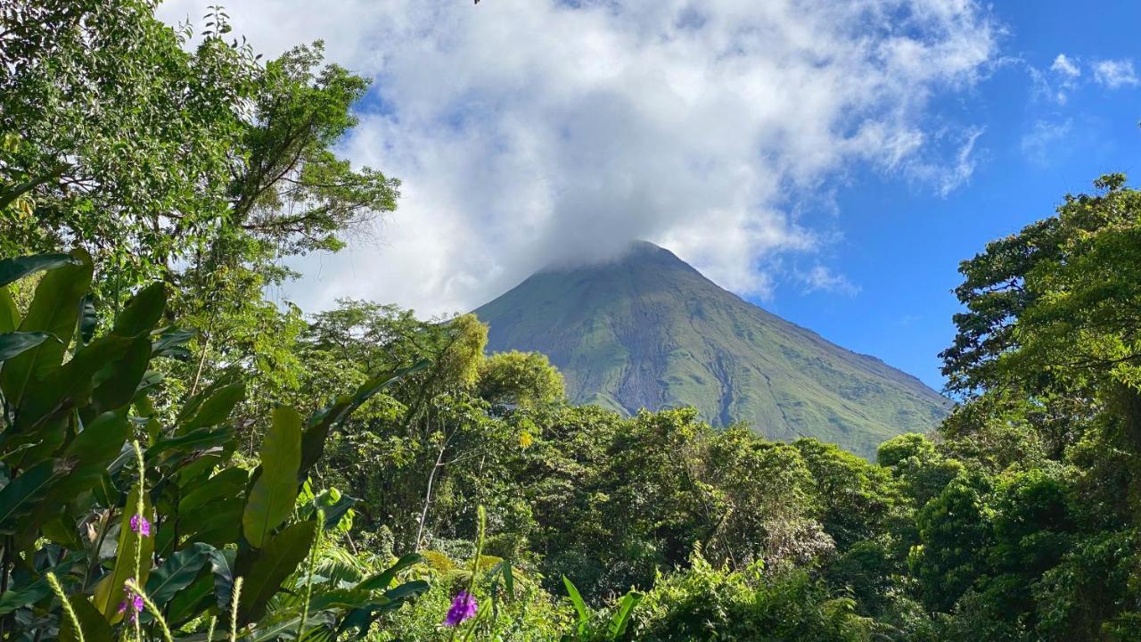 Monte Terras Acomodação com café da manhã Tronadora Exterior foto