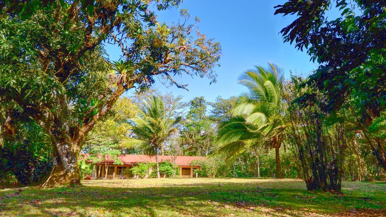 Monte Terras Acomodação com café da manhã Tronadora Exterior foto